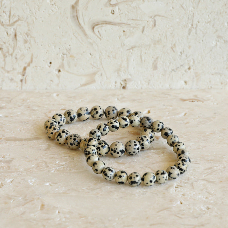 Dalmatian Jasper Stone Bracelet